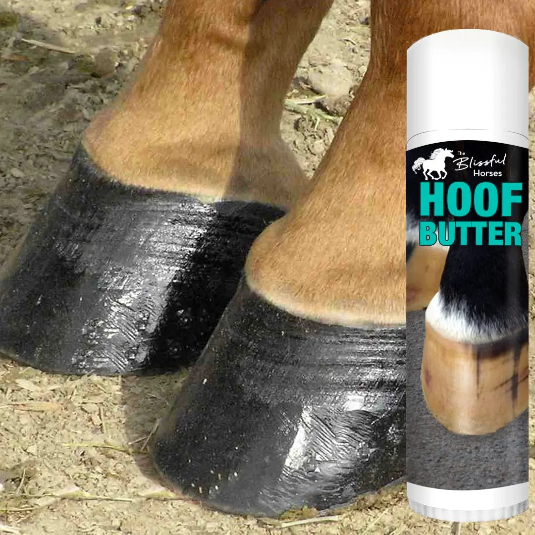 The Blissful Horse Hoof Butter - All Natural, Made in U.S.A.