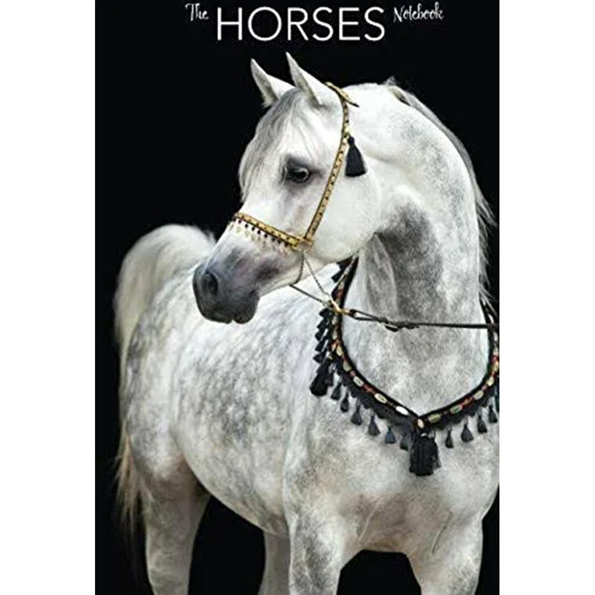 The Horses Notebook